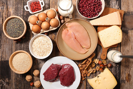 PROTIEN SOUCES GUIDE