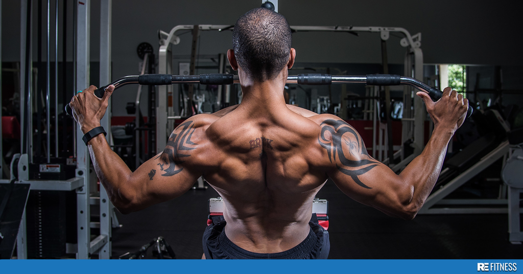 Back Day Domination: How to Build Massive Wings