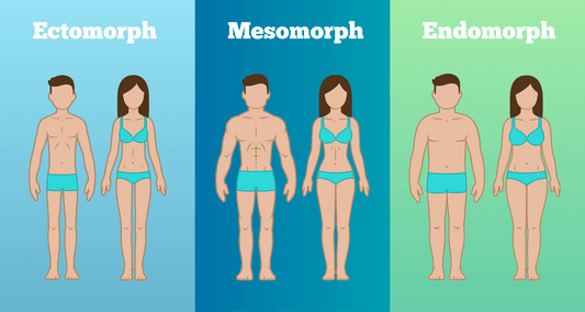 BODY ID TEST